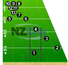 NZ Maori Positions